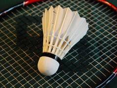 shuttle bat and cork online
